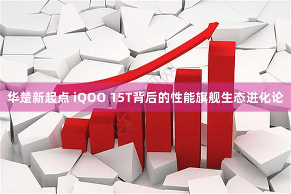 华楚新起点 iQOO 15T背后的性能旗舰生态进化论