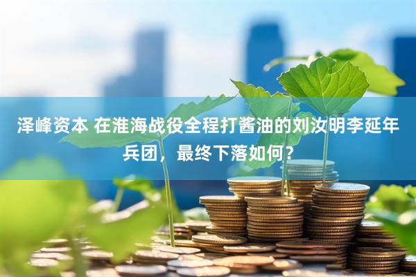 泽峰资本 在淮海战役全程打酱油的刘汝明李延年兵团，最终下落如何？