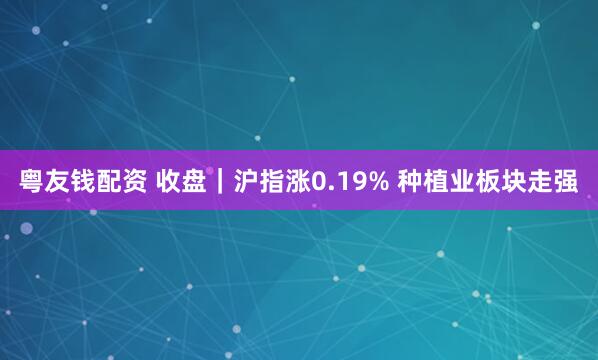 粤友钱配资 收盘｜沪指涨0.19% 种植业板块走强